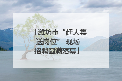 潍坊市“赶大集 送岗位” 现场招聘圆满落幕